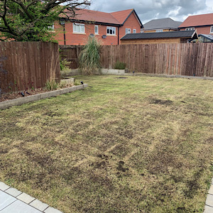 Alsager1 top dress lawn top dressed lawn with compost & sand mix